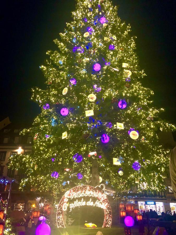 Le 39 Lägenhet Strasbourg Exteriör bild